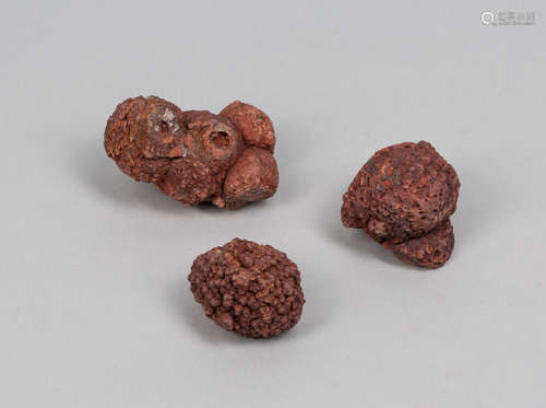 Group of Fossilized Dinosaur Coprolite