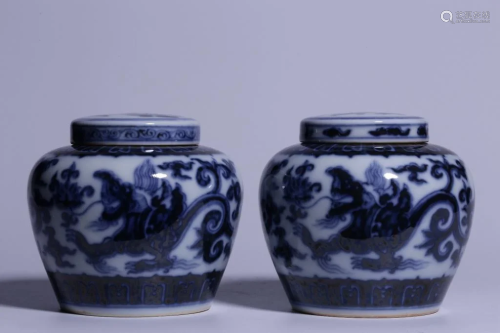 Pair Chinese Blue and White Porcelain Cover Jar,Ma