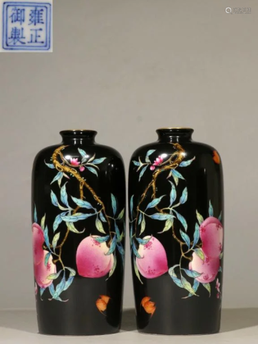 Pair Chinese Hand Paint Doucai Porcelain Vase,Mark