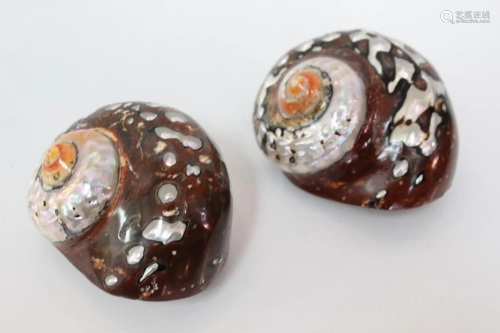 Pair of Shell Mother Pearl Inlay