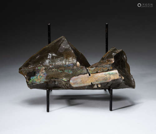 Lg Opalized Fossil Baculite Table Sculpture