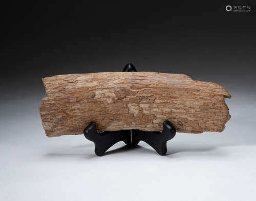 Collectible Mastodon Mammoth Bark Table Sculpture