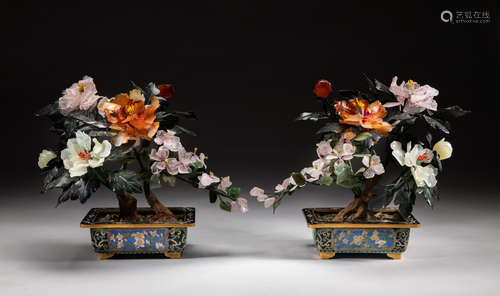 Pairs Chinese Cloisonne Bonsais