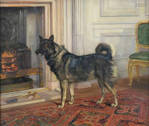 Anthony De Bree (1855-1921) Study of Lady Halifax's dog in the drawing room at Garrowby Hall