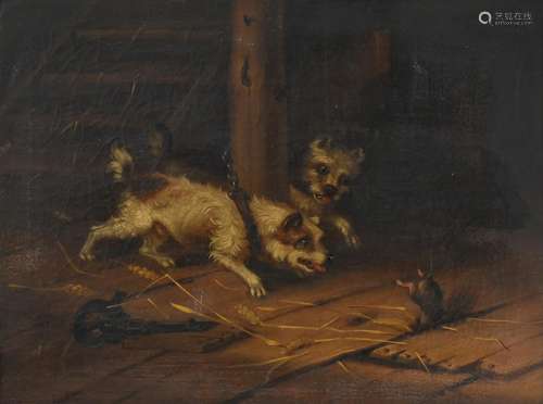 Attributed to George Armfield (1808-1893) Terriers ratting in a stable interior Oil on canvas, 43.