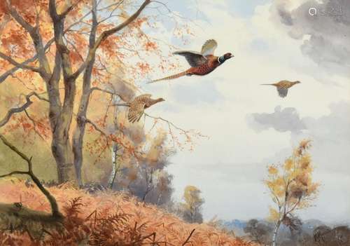 John Cyril Harrison (1898-1985) Pheasants breaking cover Signed, watercolour, 32.5cm by 46.5cm