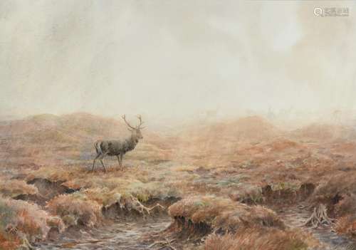 Vincent R Balfour Browne (1880-1963) Stag in the mist Initialled and dated 1948, watercolour, 23cm