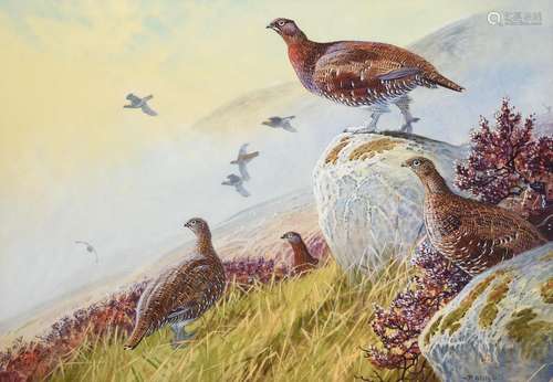 Peter Allis (b.1944) Covey of Grouse in a moorland landscape Signed, watercolour, 51cm by 73cm