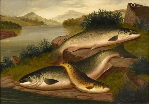 A Roland Knight (fl.1879-1921) ''Salmon and Trout of Loch Awe'' Signed, inscribed verso, oil on