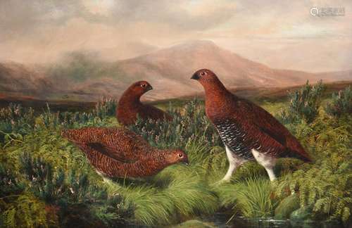 Benjamin (Lester) Hold (1839-1917) Grouse in a heather moorland Signed, oil on canvas, 48.5cm by