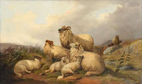 Circle of William Watson (19th century) Sheep and lambs at rest on a fell top Oil on canvas, 74.