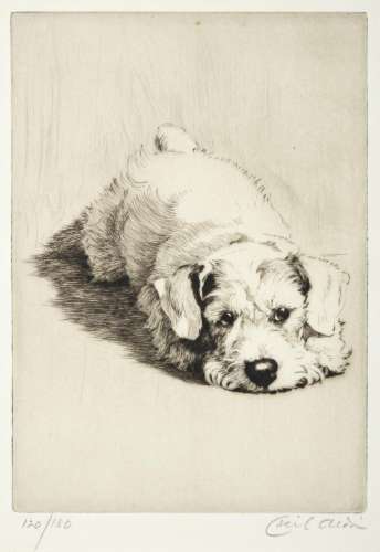 Cecil Charles Windsor Aldin (1870-1935) ''Sealyham Puppy'' Signed in pencil, numbered 120/180, a