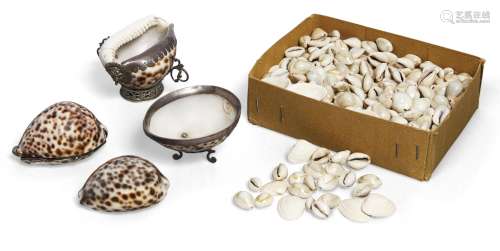 A white metal mounted cowrie shell, probably Hispanic, 18th century, with pierced scroll handles and
