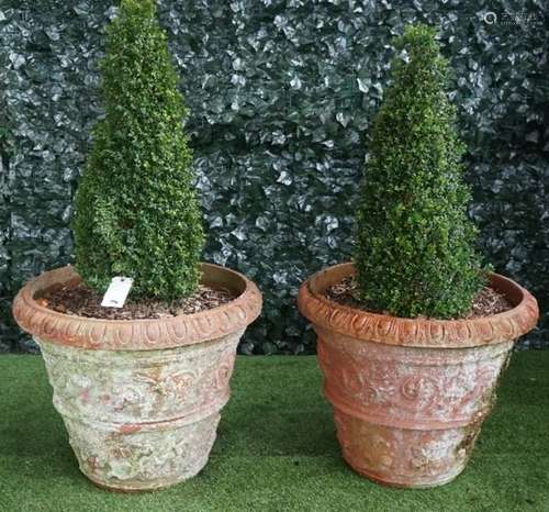 A pair of large terracotta jardinieres with egg and dart rim and floral chase body planted with