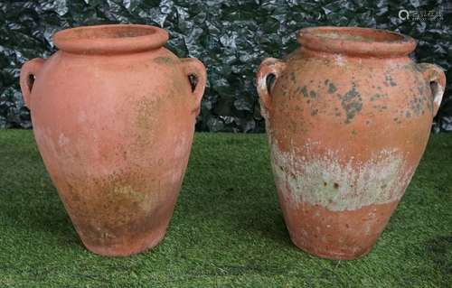 A pair of terracotta oil jars with twin lug handles, 40cm wide x 50cm high, (2).