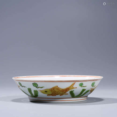 A RED AND GREEN GLAZED FISH PORCELAIN DISH WITH DA MING HONG ZHI NIAN ZHI MARK