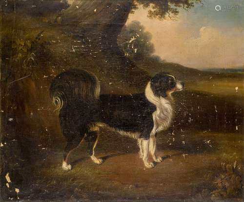 Edwin M Fox, British act. 1830-1870- Portrait of a Spaniel; oil on canvas, signed and dated 1849,