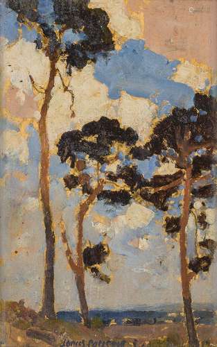 James Paterson ARSA, Scottish 1854-1932- Fir Trees; oil on panel, signed, 22x14cm Provenance: with