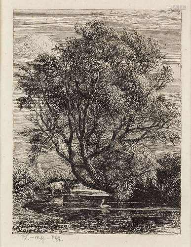 Samuel Palmer, British 1805-1881- The Willow, 1850; etching, from the final edition of 75 authorized