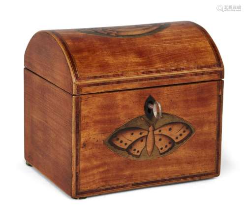 A Regency inlaid satinwood dome-top tea caddy, inlaid with butterfly and shell motifs, single
