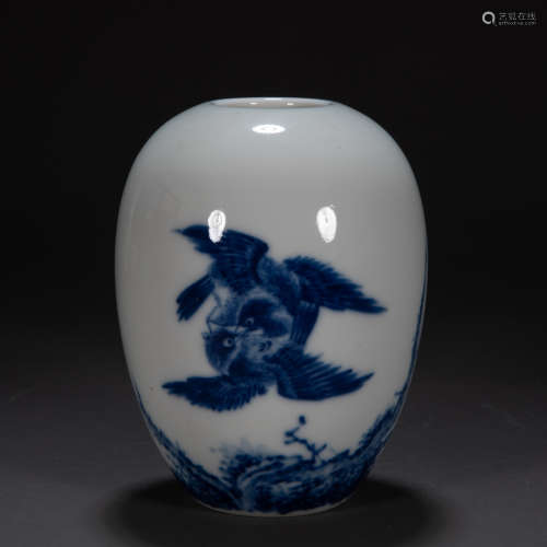 CHINESE BLUE AND WHITE PORCELAIN JAR, QING DYNASTY