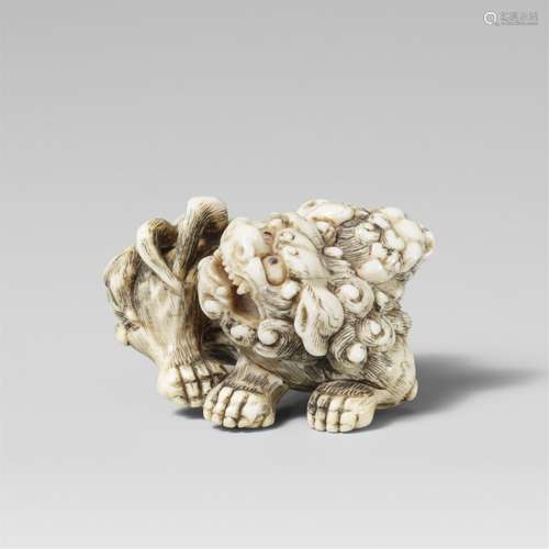 A very fine Kyoto school ivory netsuke of a lively shishi an...