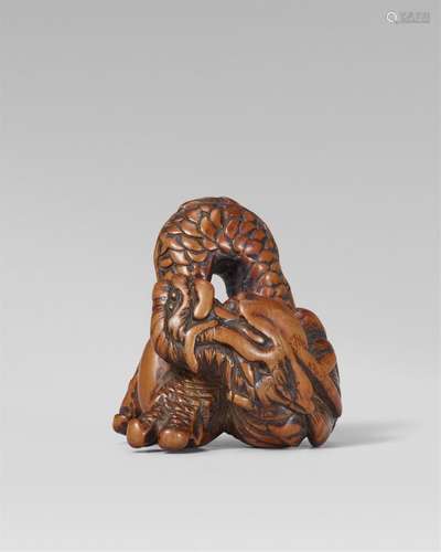 An impressively large boxwood netsuke of a dragon. 18th cent...