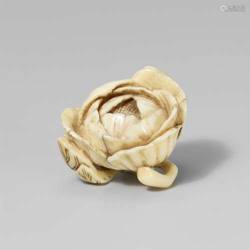 A small ivory netsuke of a peony blossom. Second half 19th c...