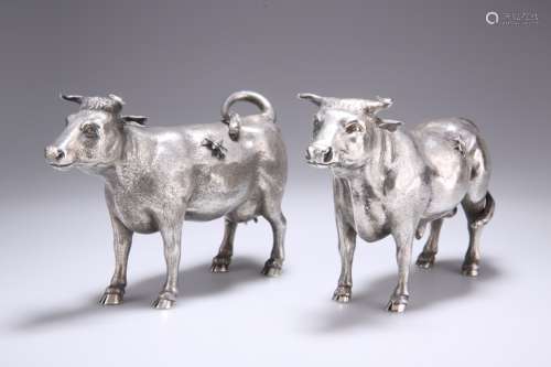 A PAIR OF SILVER MODELS OF CATTLE