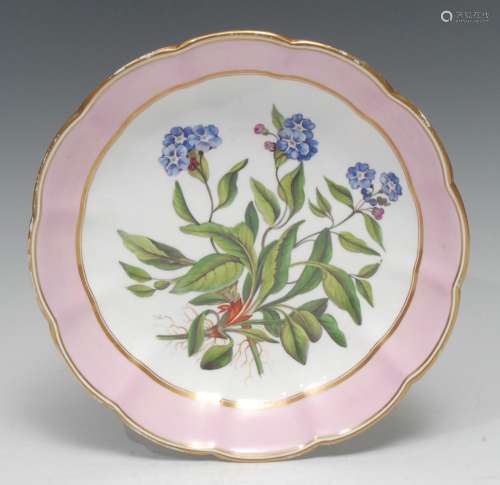 A Derby Botanical shaped circular dish, painted by John Brew...