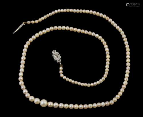 A single strand of cultured pearls