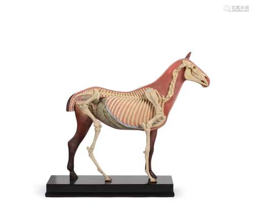 A polychrome painted plaster or composition anatomical model...