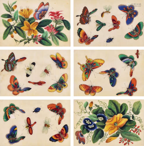 19世纪 蝴蝶花卉纹通草画 （十二张）
