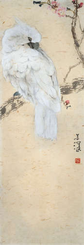 杨善深（1913～2004） 鹦鹉 镜框 设色纸本