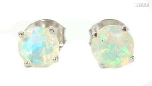 A pair of white gold single stone opal stud earrings,