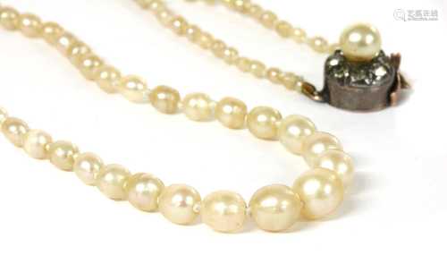 A single row graduated natural saltwater pearl necklace,