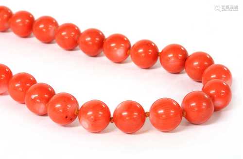 A single row uniform dyed coral bead necklace,