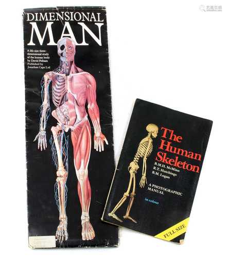 HUMAN ANATOMY,