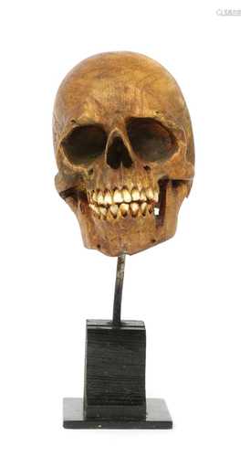 SOFTWOOD SKULL,