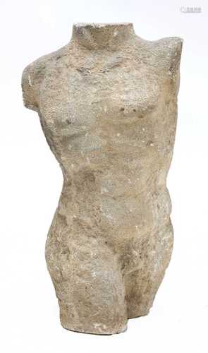 A MALE TORSO,