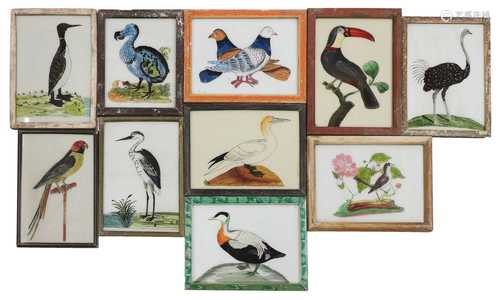 INDIAN REVERSE GLASS PAINTINGS OF BIRDS,