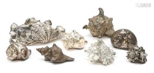 SILVER-COATED SEASHELLS,