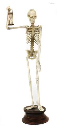 AN HOURGLASS SKELETON,