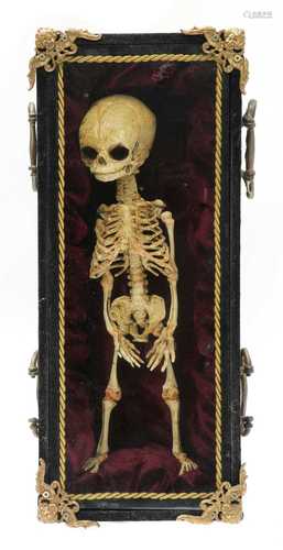 SKELETON IN A VELVET CASE,