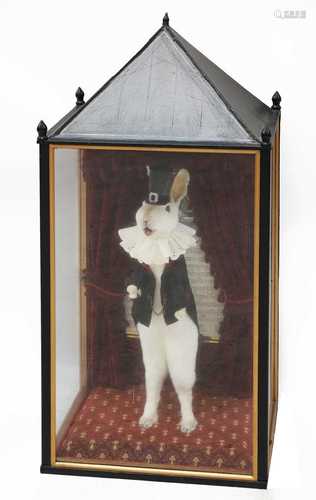 THE WHITE RABBIT,