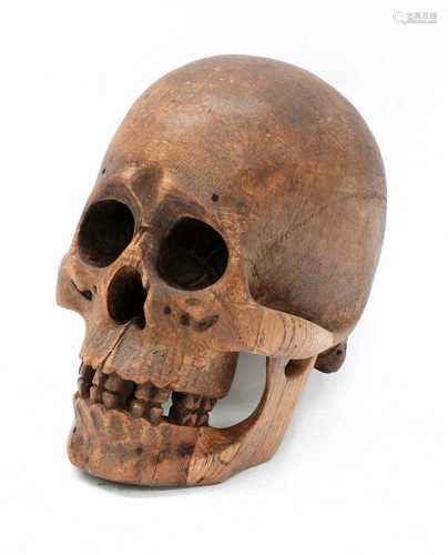 SOFTWOOD SKULL,