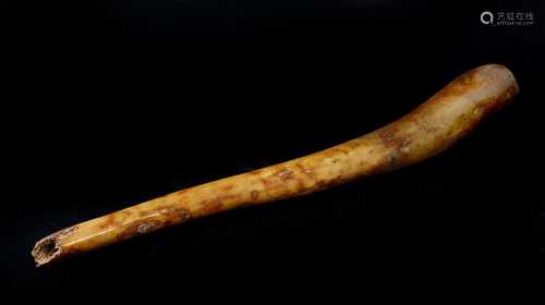 WALRUS BACULUM,