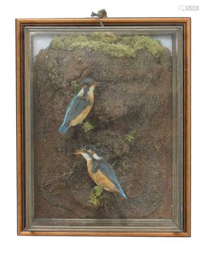 KINGFISHERS,