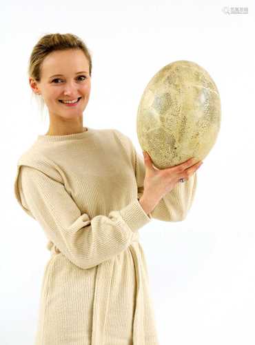 ELEPHANT BIRD EGG,