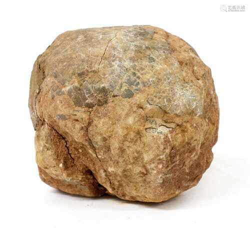 FOSSILISED DINOSAUR EGG,